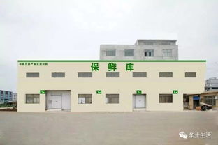 萬眾期待，終于等到你——華西農(nóng)副產(chǎn)品交易中心水果區(qū)9月18日盛大開業(yè)